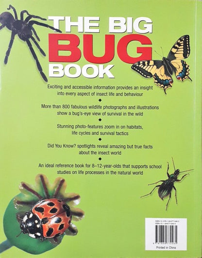 The Big Bug Book Discover The Amazing World Of Beetles Bugs Butterflies Moths Insects And Spiders