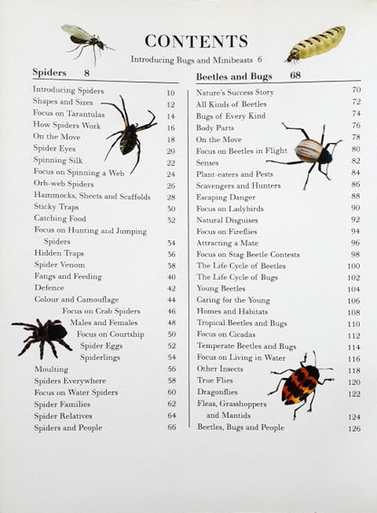 The Big Bug Book Discover The Amazing World Of Beetles Bugs Butterflies Moths Insects And Spiders