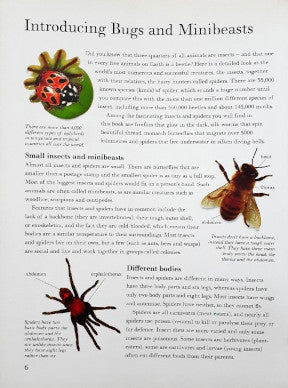 The Big Bug Book Discover The Amazing World Of Beetles Bugs Butterflies Moths Insects And Spiders