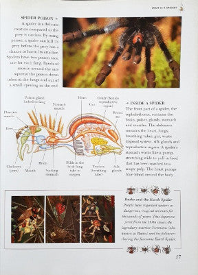 The Big Bug Book Discover The Amazing World Of Beetles Bugs Butterflies Moths Insects And Spiders