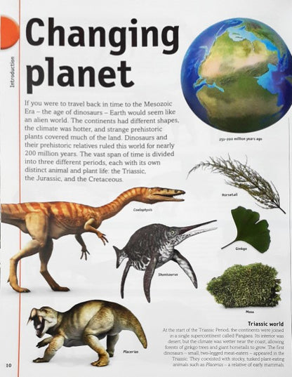 The Dinosaurs Book