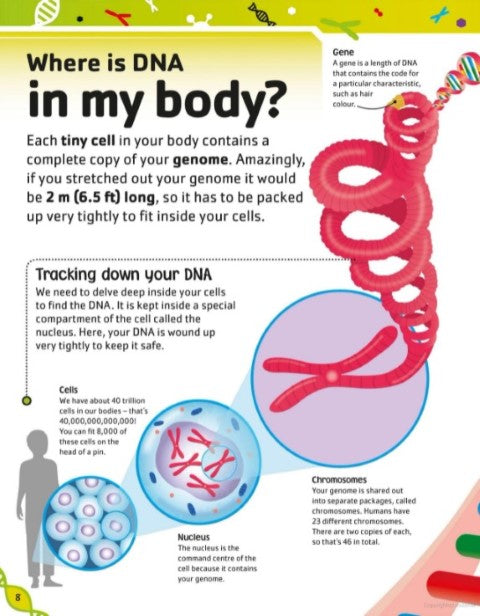 The DNA Book Discover What Makes You You