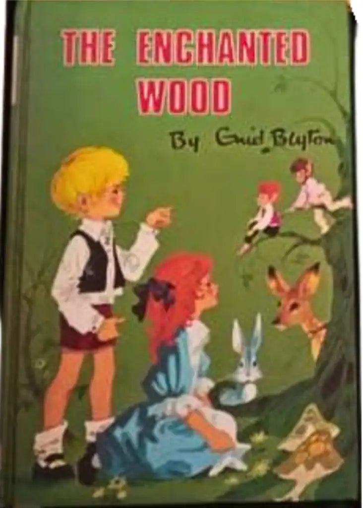 Enchanted Chapter Books The Enchanted Wood (HC) (P) – Books and You