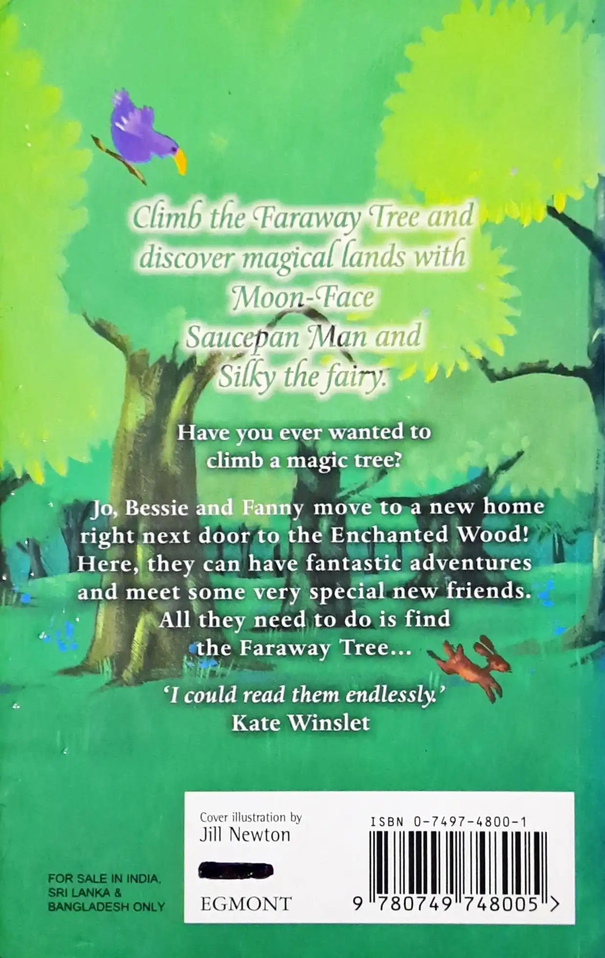 The Magic Faraway Tree #1 The Enchanted Wood (P)
