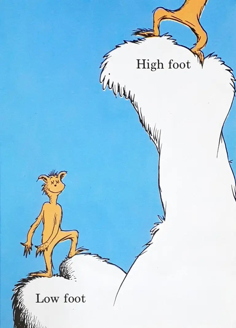 Dr Seuss The Foot Book (P)