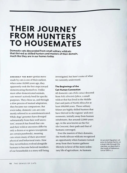 National Geographic : The Genius of Cats