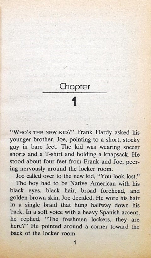 The Hardy Boys Casefiles 101 Peak Of Danger