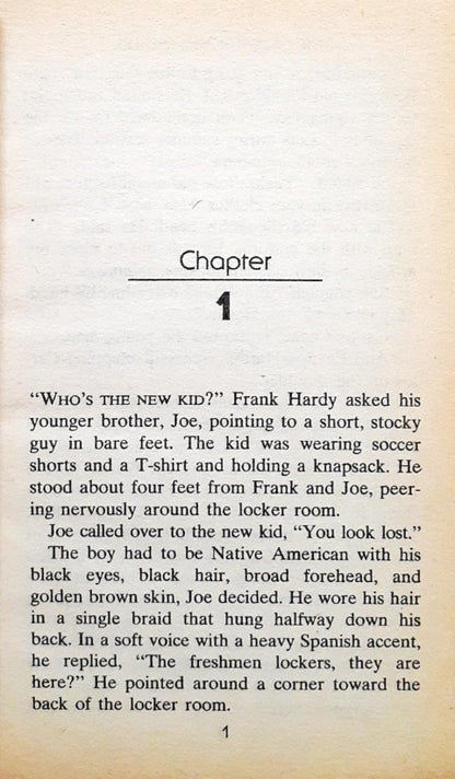 The Hardy Boys Casefiles 101 Peak Of Danger