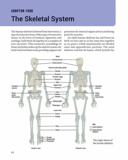 The Human Body | Hardcover