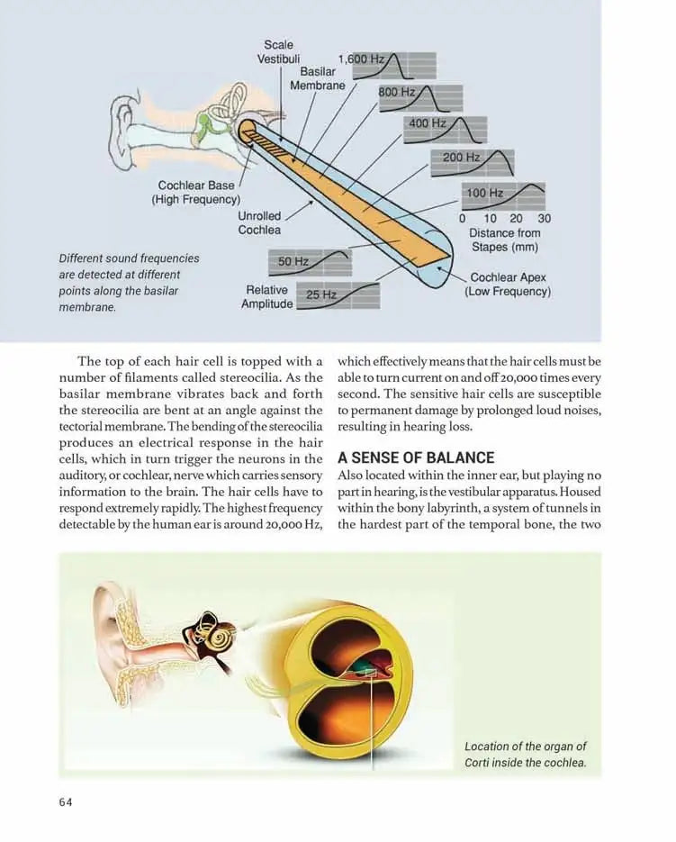 The Human Body | Hardcover