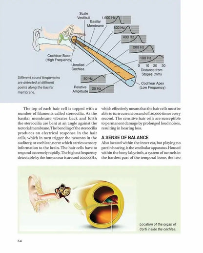The Human Body | Hardcover
