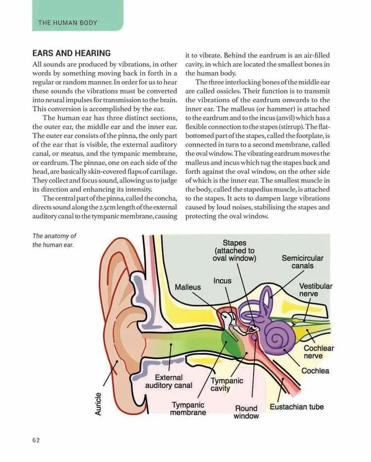 The Human Body | Hardcover