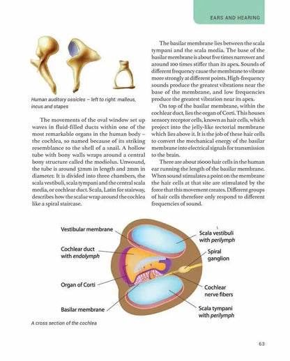 The Human Body | Hardcover