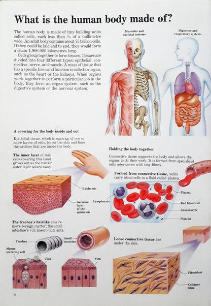 Time Life's Illustrated World of Science The Human Body