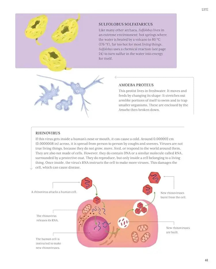 The Illustrated Encyclopedia of Science | Hardcover