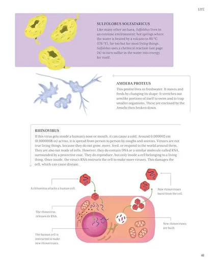 The Illustrated Encyclopedia of Science | Hardcover