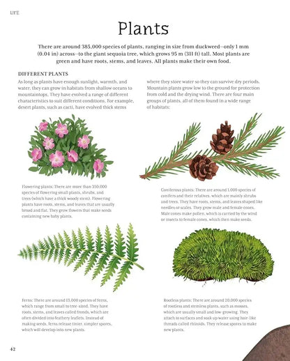 The Illustrated Encyclopedia of Science | Hardcover