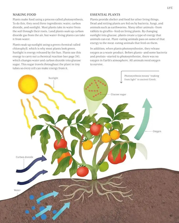 The Illustrated Encyclopedia of Science | Hardcover