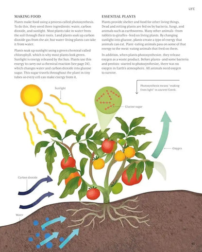 The Illustrated Encyclopedia of Science | Hardcover