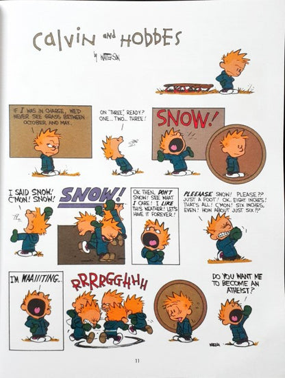 The Indispensable Calvin and Hobbes