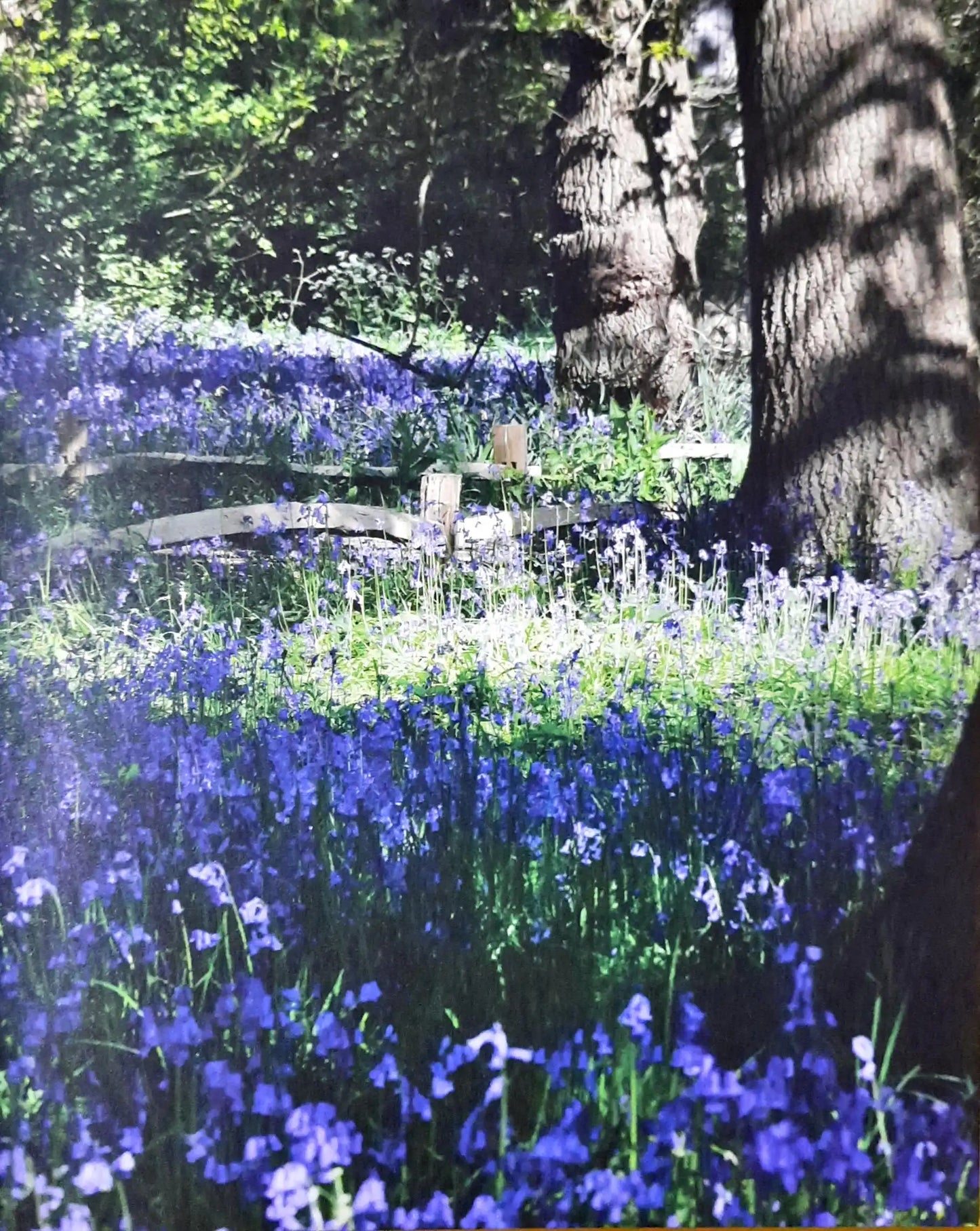 The Kew Gardens Nature Journal