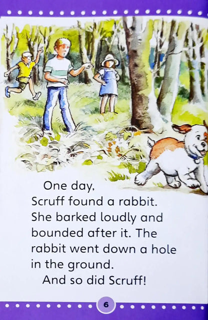 The Magical Adventure : Popular Rewards - Purple Early Reader