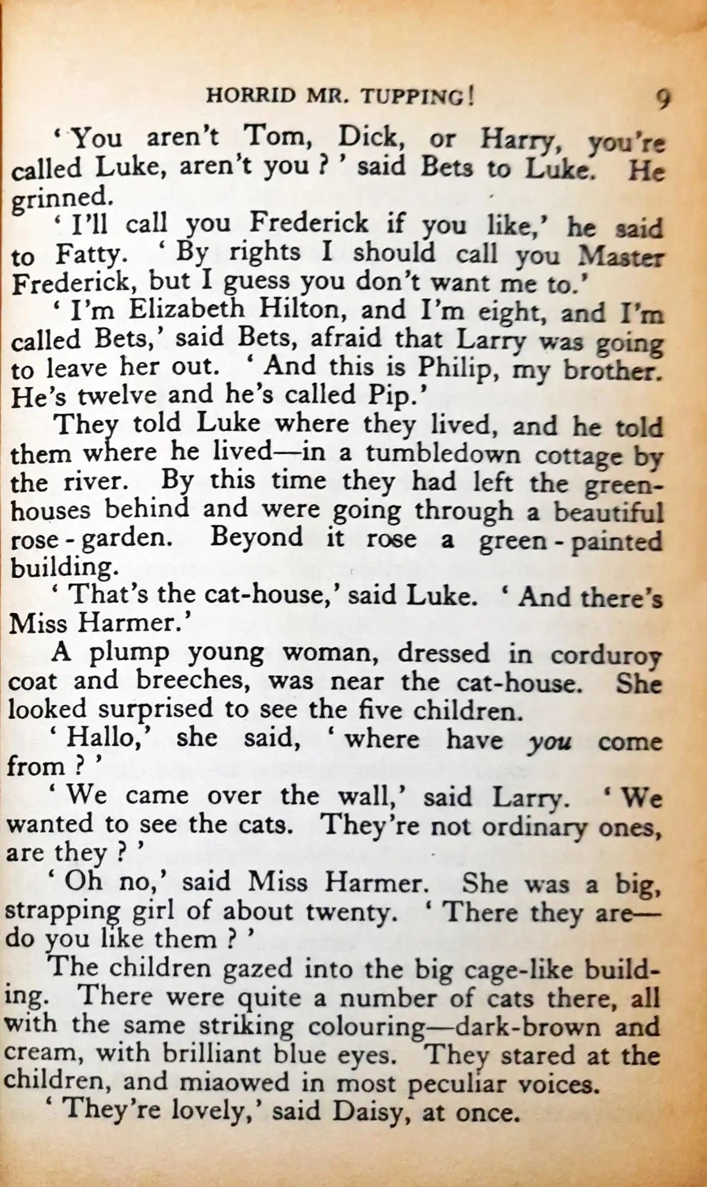 The Five Find-Outers #2 : The Mystery of the Disappearing Cat (P)