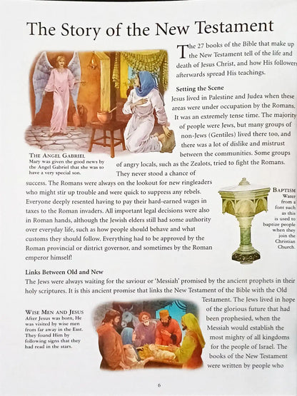 Children's Illustrated Bible : The New Testament