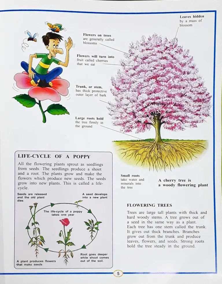 Know About Science The Plant Kingdom (P)