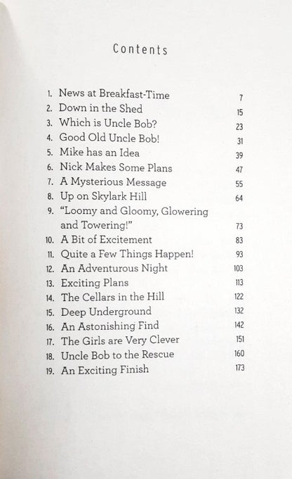 The Riddle That Never Was - The Riddle Series – Books and You