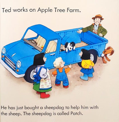 Usborne Farmyard Tales 9 Poppy and Sam The Silly SheepDog