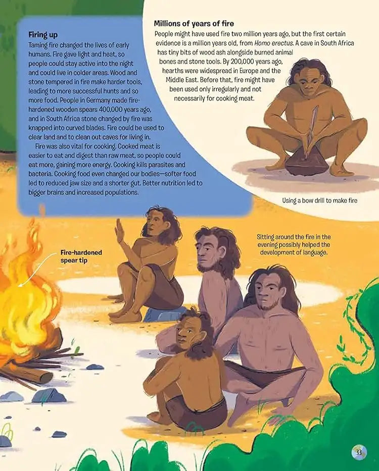 The Story of Humans : From Prehistory to the Present | Hardcover