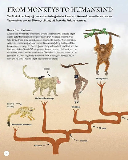 The Story of Humans : From Prehistory to the Present | Hardcover