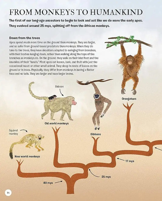 The Story of Humans : From Prehistory to the Present | Hardcover