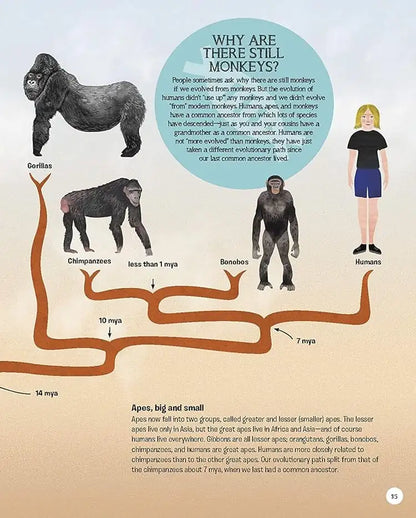 The Story of Humans : From Prehistory to the Present | Hardcover