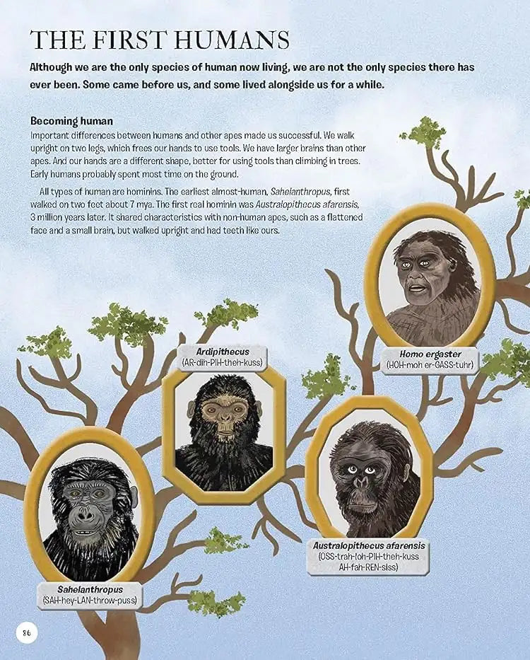 The Story of Humans : From Prehistory to the Present | Hardcover