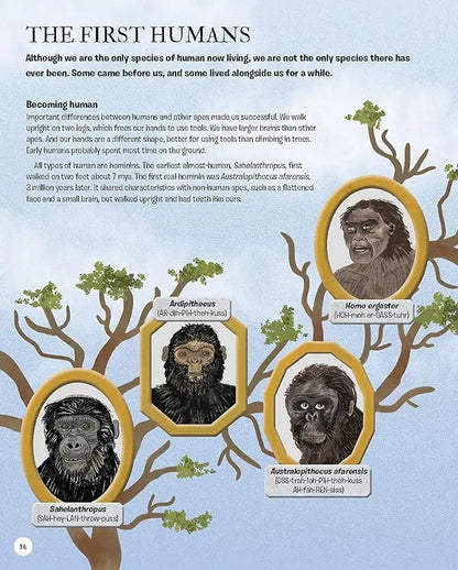 The Story of Humans : From Prehistory to the Present | Hardcover