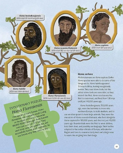 The Story of Humans : From Prehistory to the Present | Hardcover