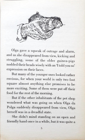 The Tales Of Olga Da Polga The Little Guinea Pig With The Big Imagination