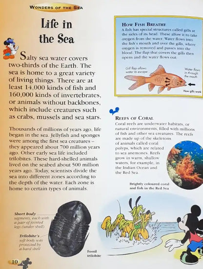 Disney The Wonderful World Of Knowledge Wonders Of The Sea (P)