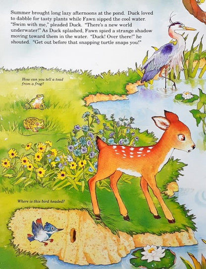 Time Life Early Learning Program The Secret Forest A Lift The Flap Nature Book (P)