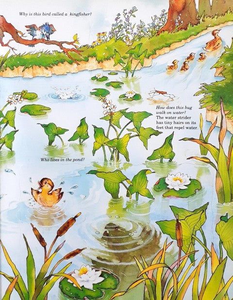 Time Life Early Learning Program The Secret Forest A Lift The Flap Nature Book (P)
