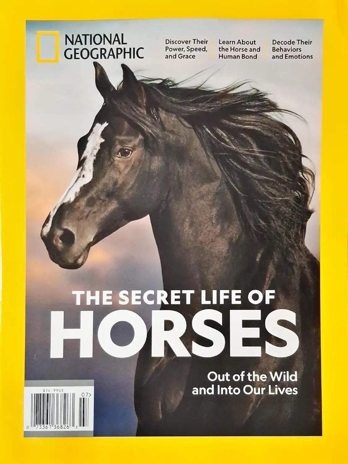 National Geographic : The Secret Life of Horses