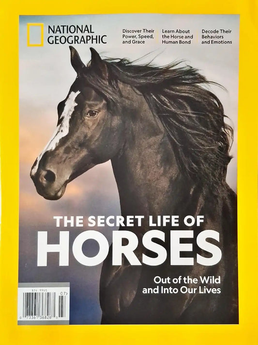 National Geographic : The Secret Life of Horses