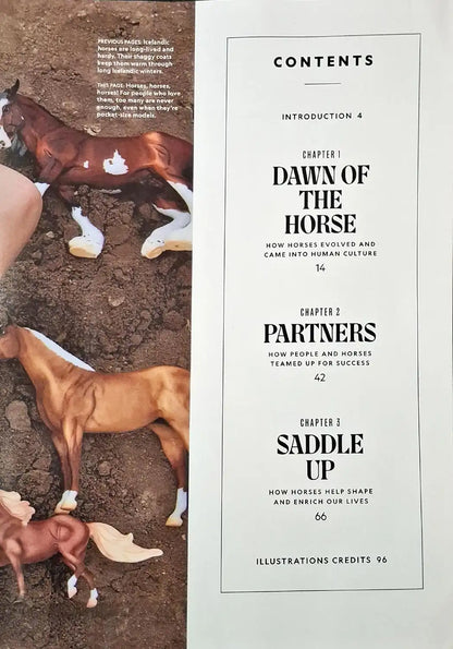 National Geographic : The Secret Life of Horses