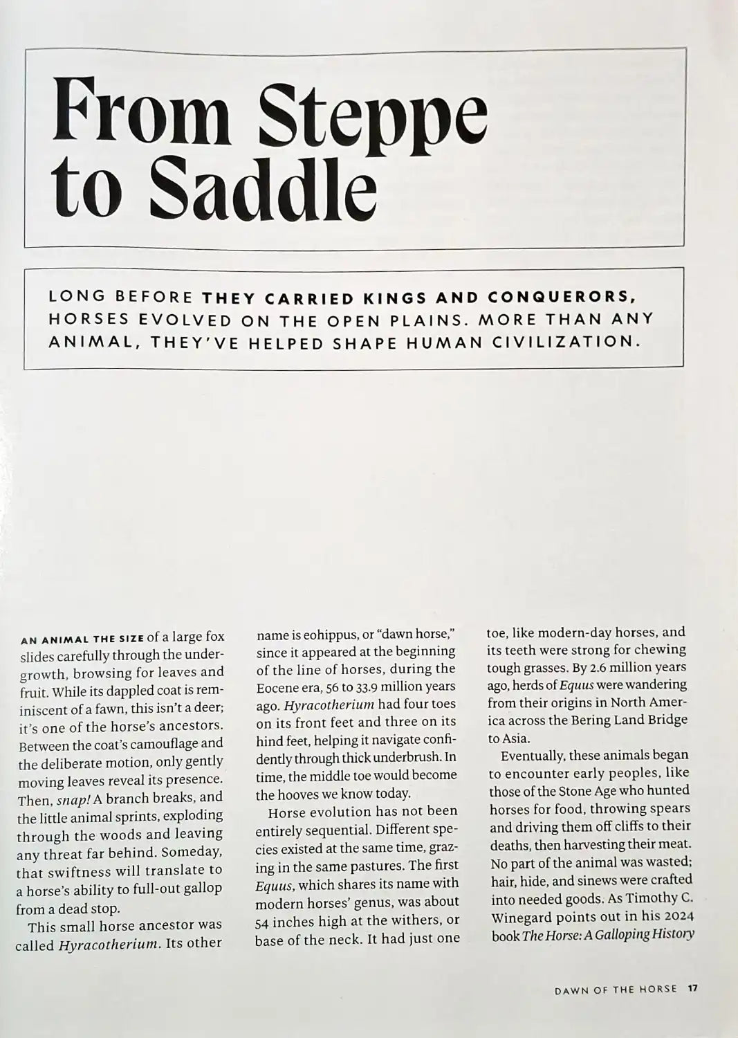 National Geographic : The Secret Life of Horses