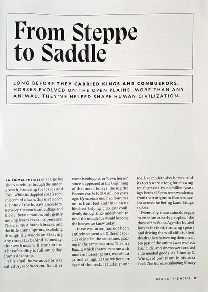 National Geographic : The Secret Life of Horses