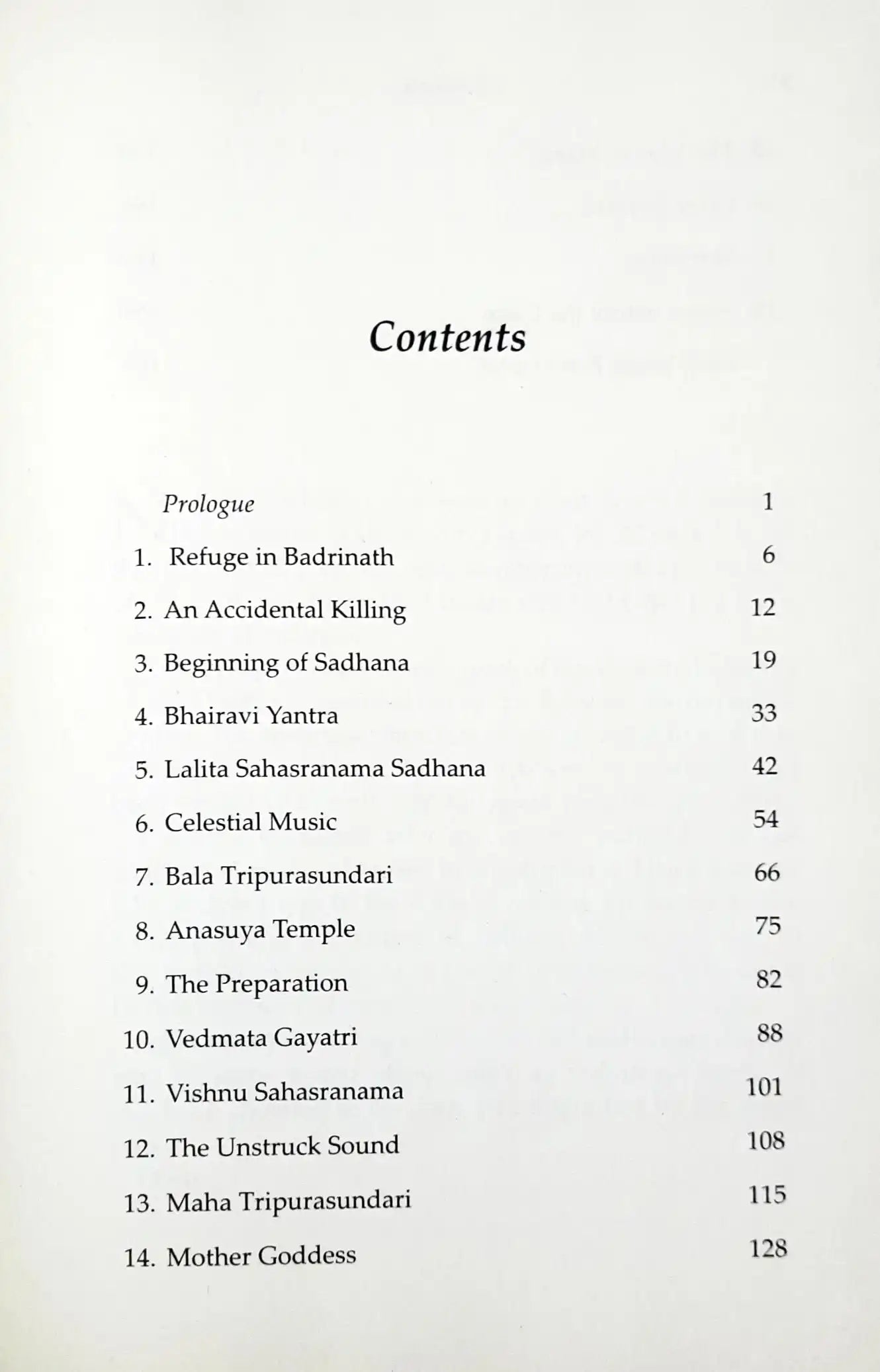 Thirteen Months In The Himalayas : Chronicles of a Monks Sadhana