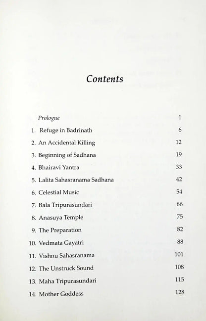 Thirteen Months In The Himalayas : Chronicles of a Monks Sadhana