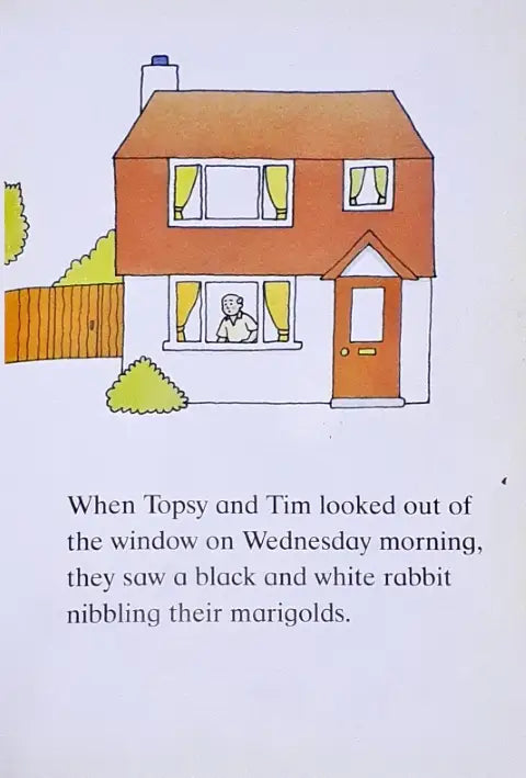 Topsy Tim Little Lost Rabbit (P)